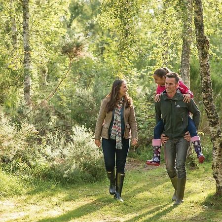 Kiltarlity Lodges Belladrum Kültér fotó