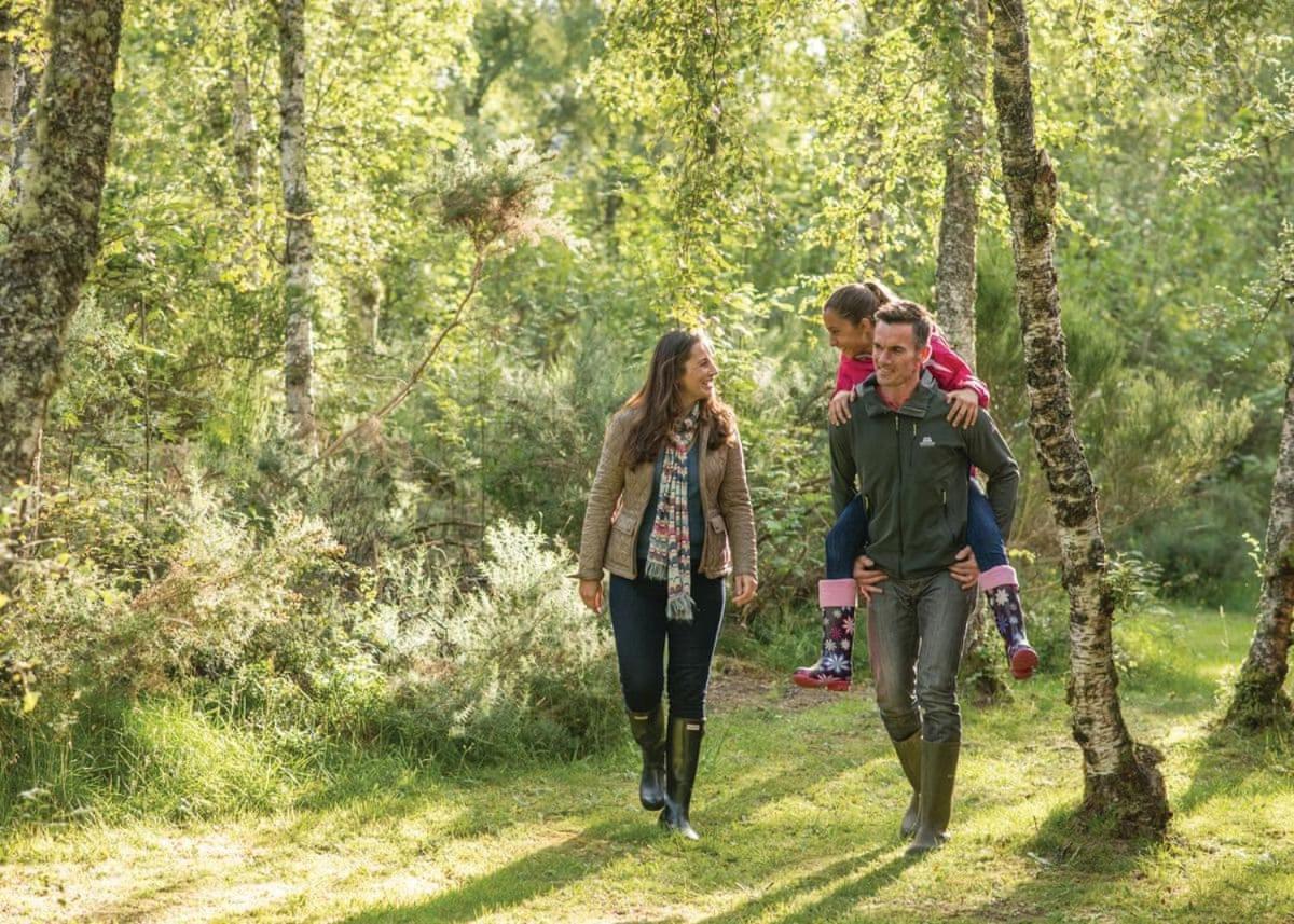 Kiltarlity Lodges Belladrum Kültér fotó